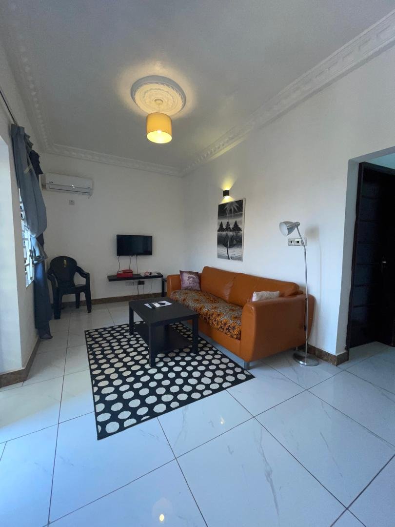 Apartment living room with leather sofa and marble floors